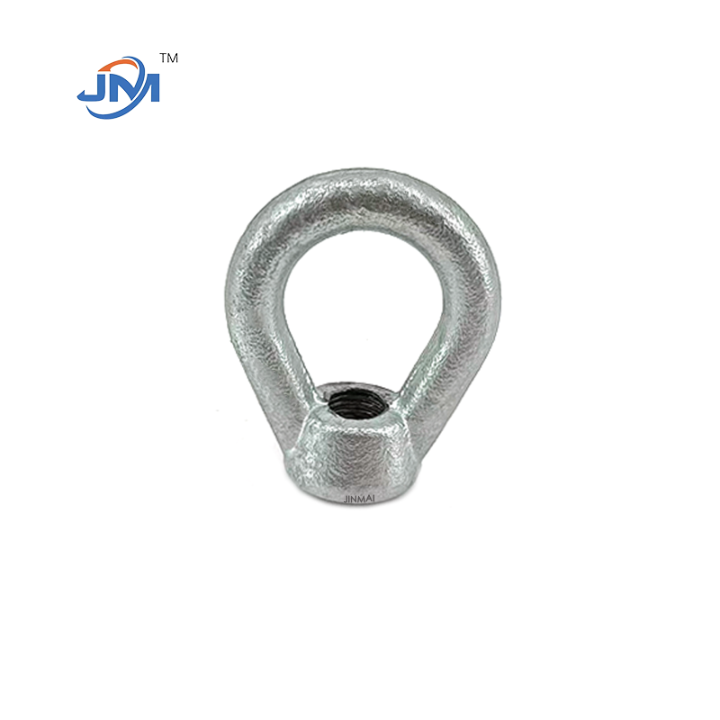  eye nut hot dip galvanized manufacturer supply